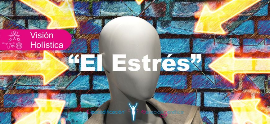 EL ESTRÉS DESDE UNA PERSPECTIVA HOLÍSTICA Emocodificación